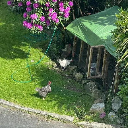 Avonbeg 2 Bed 1 Bath Accommodate 3 Guests Rathdrum