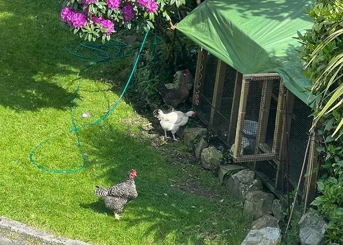 Avonbeg 2 Bed 1 Bath Accommodate 3 Guests Rathdrum